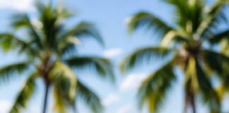 Ensalada de Carrucho: Un Plato de la Cocina Costera Ensalada de Carrucho Un Plato de la Cocina Costera de Puerto Rico