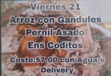 ¡Sabor Boricua que Llega a Tu Puerta! – Pernil Asado Pernil Asado: Si buscas comida puertorriqueña hecha con cariño y sazón auténtica, Aleesha’s Pinchos & More es tu mejor opción Asado